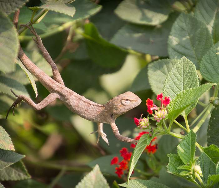 Just hanging around-.jpg - Just hanging around